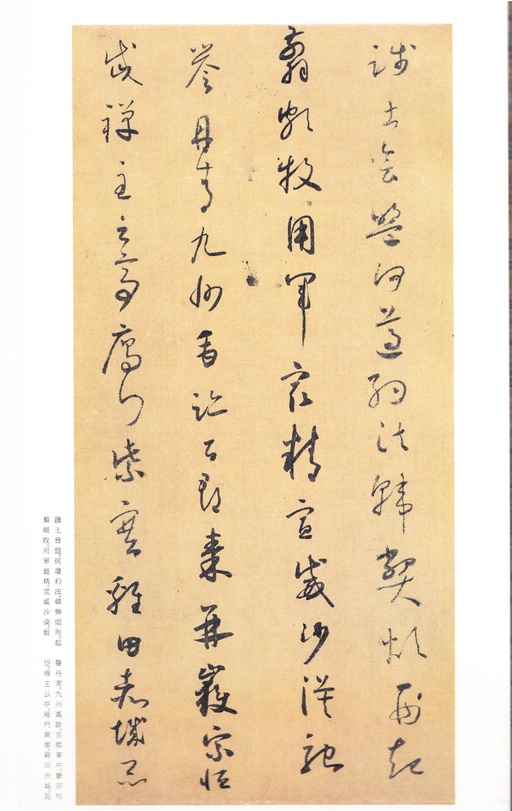 怀素 小草千字文 - 二玄社版 - 書法道 - 书法字帖墨迹碑帖作品高清欣赏 - 14