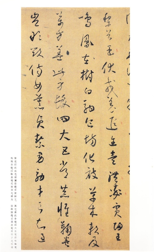 怀素 小草千字文 - 二玄社版 - 書法道 - 书法字帖墨迹碑帖作品高清欣赏 - 5