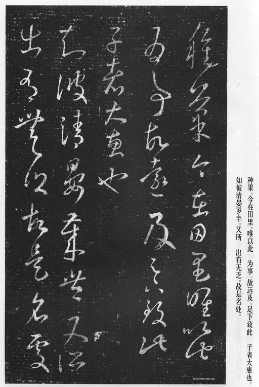 王羲之 十七帖 - 宋拓本 - 書法道 - 书法字帖墨迹碑帖作品高清欣赏 - 25