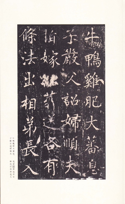 沈传师 柳州罗池庙碑 - 宋拓本 - 書法道 - 书法字帖墨迹碑帖作品高清欣赏 - 17