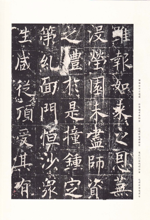 唐朝人 善才寺碑 - 拓本 - 書法道 - 书法字帖墨迹碑帖作品高清欣赏 - 16