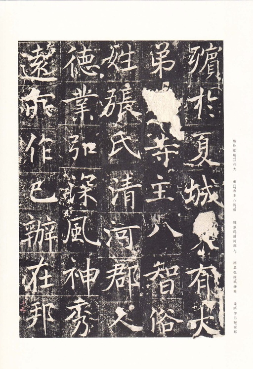 唐朝人 善才寺碑 - 拓本 - 書法道 - 书法字帖墨迹碑帖作品高清欣赏 - 22