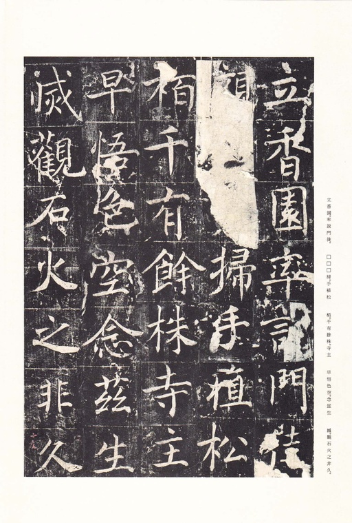 唐朝人 善才寺碑 - 拓本 - 書法道 - 书法字帖墨迹碑帖作品高清欣赏 - 24