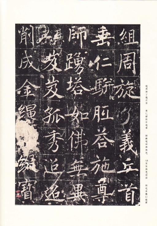 唐朝人 善才寺碑 - 拓本 - 書法道 - 书法字帖墨迹碑帖作品高清欣赏 - 32