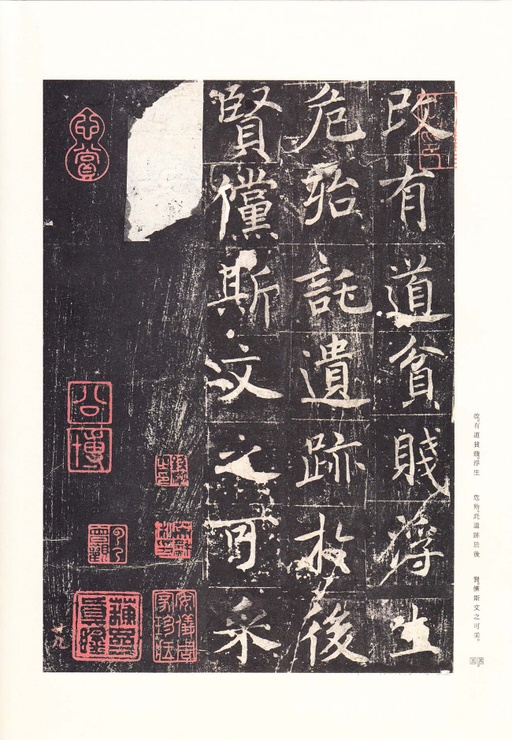 唐朝人 善才寺碑 - 拓本 - 書法道 - 书法字帖墨迹碑帖作品高清欣赏 - 34