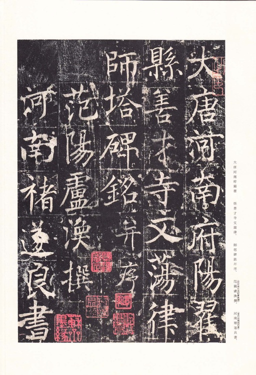 唐朝人 善才寺碑 - 拓本 - 書法道 - 书法字帖墨迹碑帖作品高清欣赏 - 6