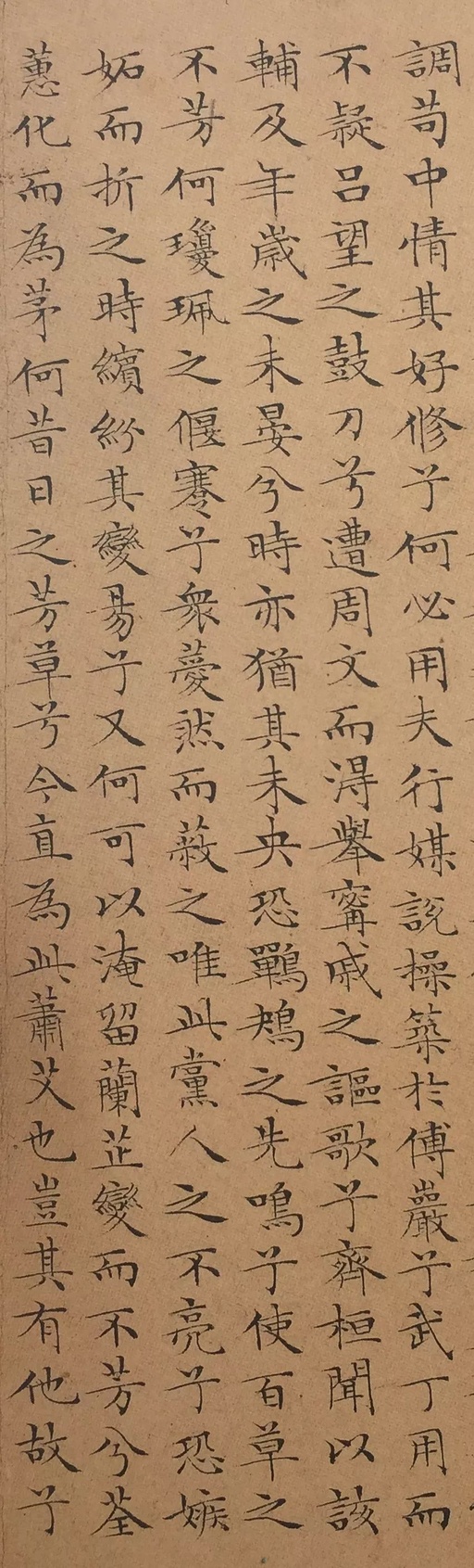 文徵明 小楷离骚经 - 纸本墨迹 - 書法道 - 书法字帖墨迹碑帖作品高清欣赏 - 14