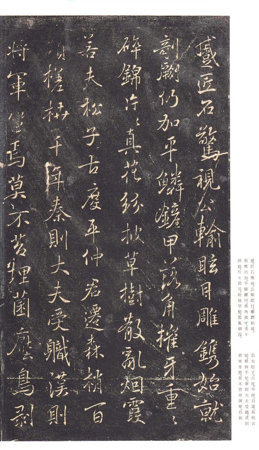 褚遂良 枯树赋 - 拓本 - 書法道 - 书法字帖墨迹碑帖作品高清欣赏 - 5