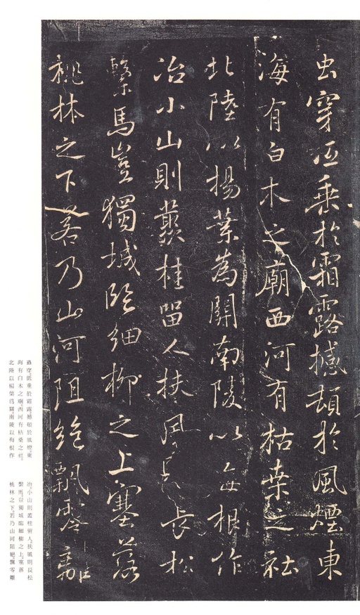 褚遂良 枯树赋 - 拓本 - 書法道 - 书法字帖墨迹碑帖作品高清欣赏 - 6