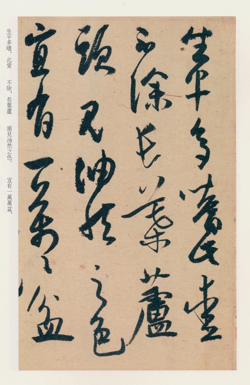 白蕉 兰题杂存 - 纸本墨迹 - 書法道 - 书法字帖墨迹碑帖作品高清欣赏 - 22