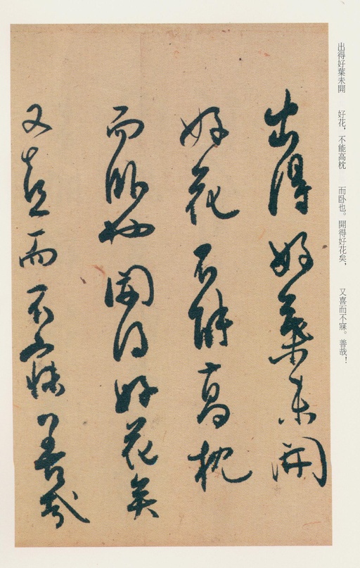 白蕉 兰题杂存 - 纸本墨迹 - 書法道 - 书法字帖墨迹碑帖作品高清欣赏 - 43