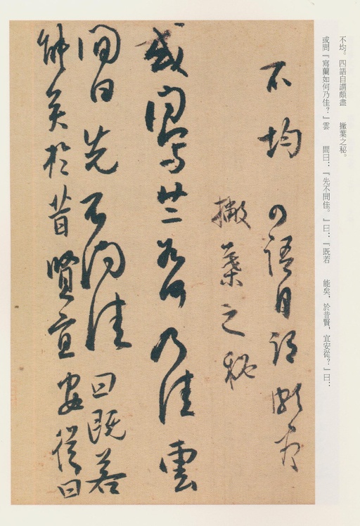 白蕉 兰题杂存 - 纸本墨迹 - 書法道 - 书法字帖墨迹碑帖作品高清欣赏 - 5