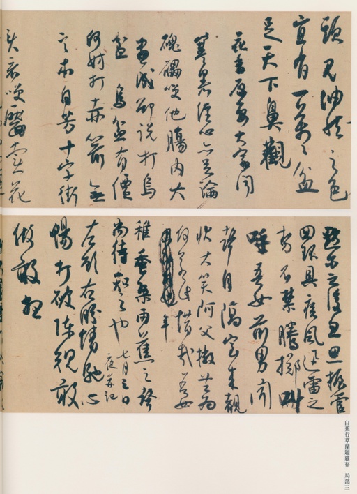 白蕉 兰题杂存 - 纸本墨迹 - 書法道 - 书法字帖墨迹碑帖作品高清欣赏 - 51