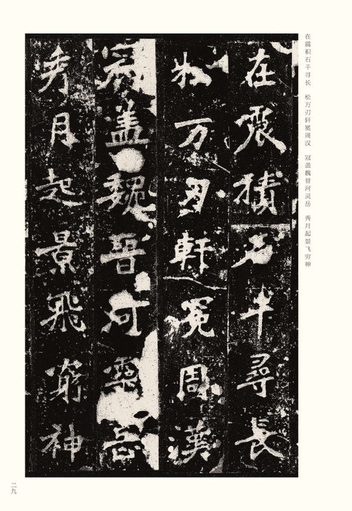 魏碑 张猛龙碑 - 宋拓本 - 書法道 - 书法字帖墨迹碑帖作品高清欣赏 - 29