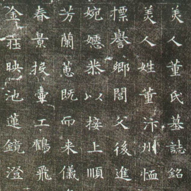 隋朝人 董美人墓志 - 書法道 - 书法字帖墨迹碑帖作品高清欣赏